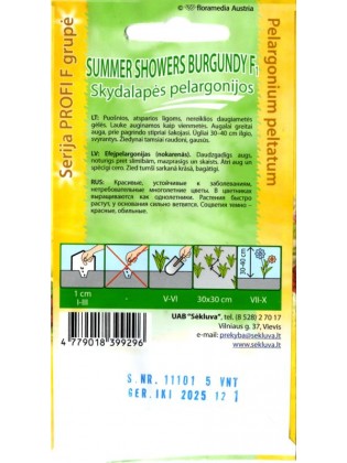 Pelargonijos skydalapės 'Summer Showers Burgundy' H, 5 sėklos