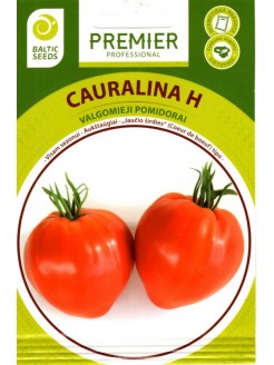 Pomidorai valgomieji 'Cauralina' H, sėklos internetu