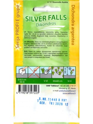 Dichondros sidabrinės 'Silver Falls' 10 sėklų
