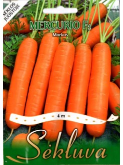 Morkos valgomosios 'Mercurio' H, sėklos internetu