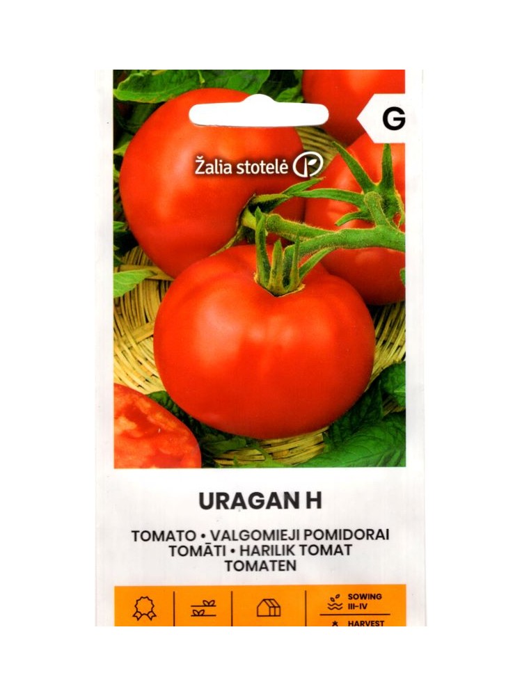 Pomidorai valgomieji 'Uragan' H, 0,1 g