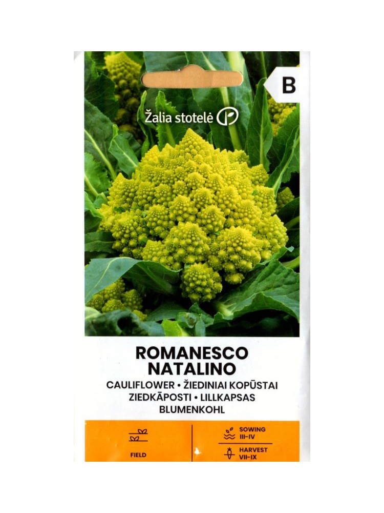 Kopūstai žiediniai 'Romanesco Natalino' 0