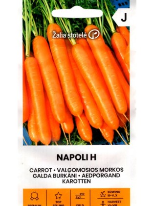 Morkos valgomosios 'Napoli' H, 1 g