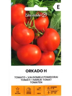Pomidorai valgomieji 'Orkado' H