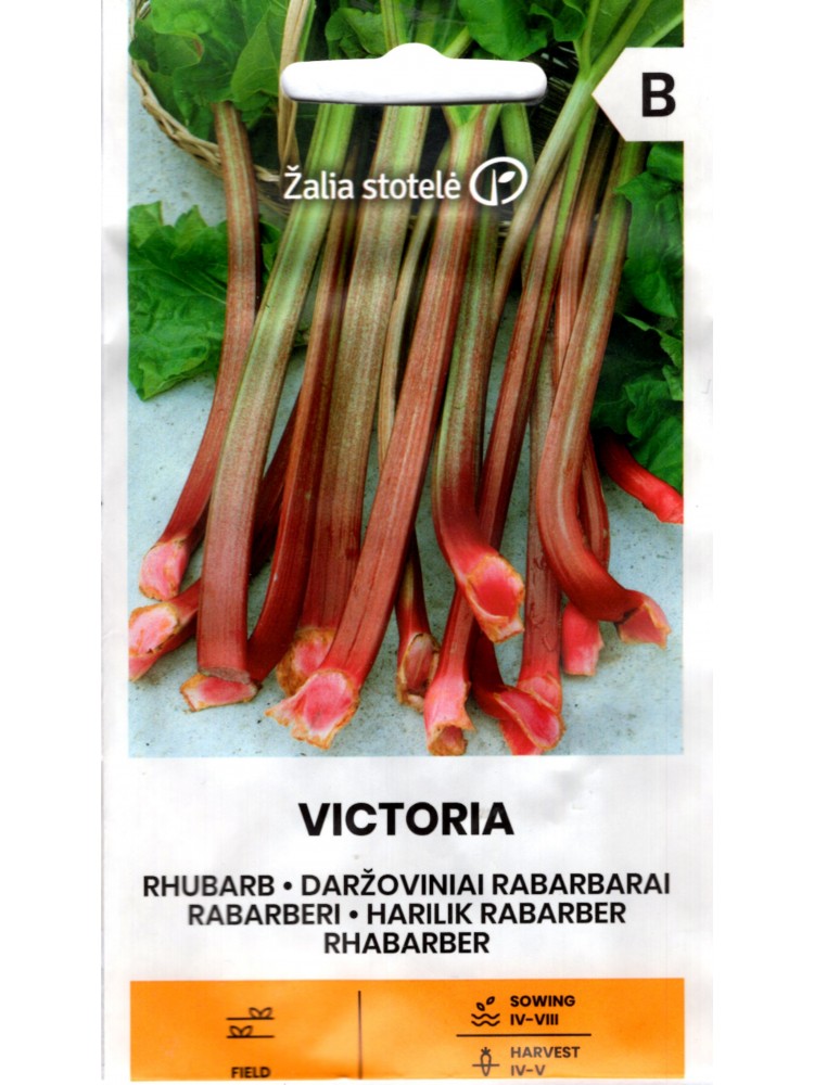 Rabarbarai daržoviniai 'Viktorija'