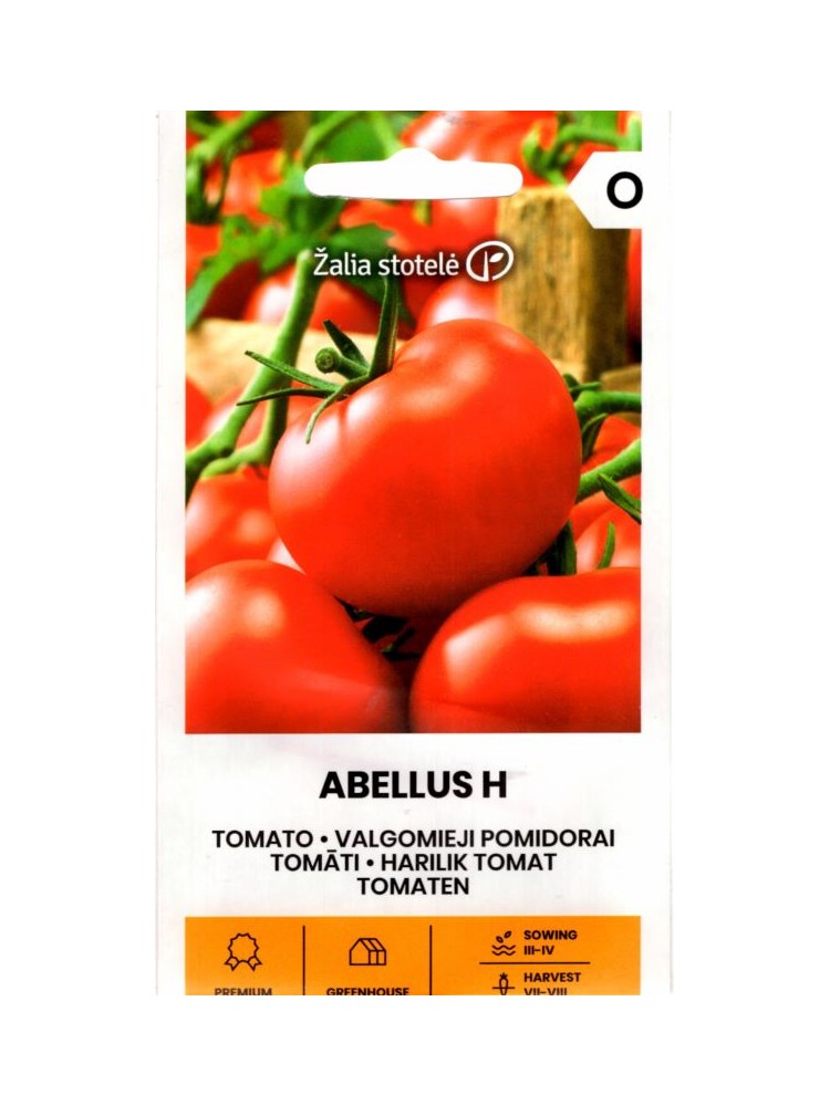 Pomidorai valgomieji 'Abellus' H