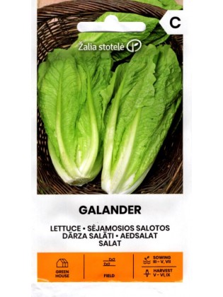 Salotos romaninės 'Galander'