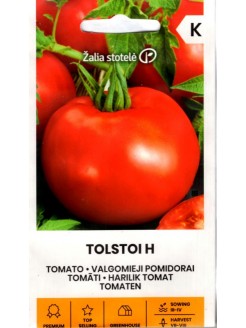 Pomidorai valgomieji 'Tolstoi' H