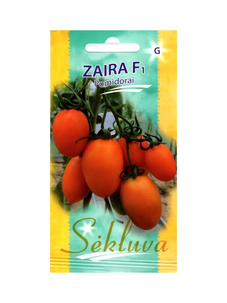 Pomidorai 'Zaira' H