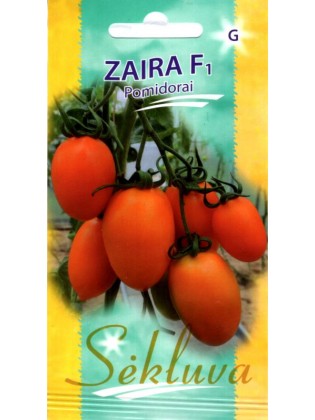 Pomidorai 'Zaira' H