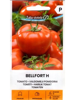 Pomidorai 'Bellfort' H