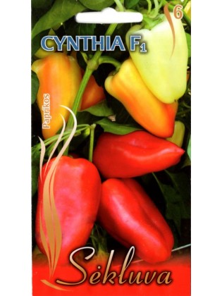 Paprika 'Cynthia' H