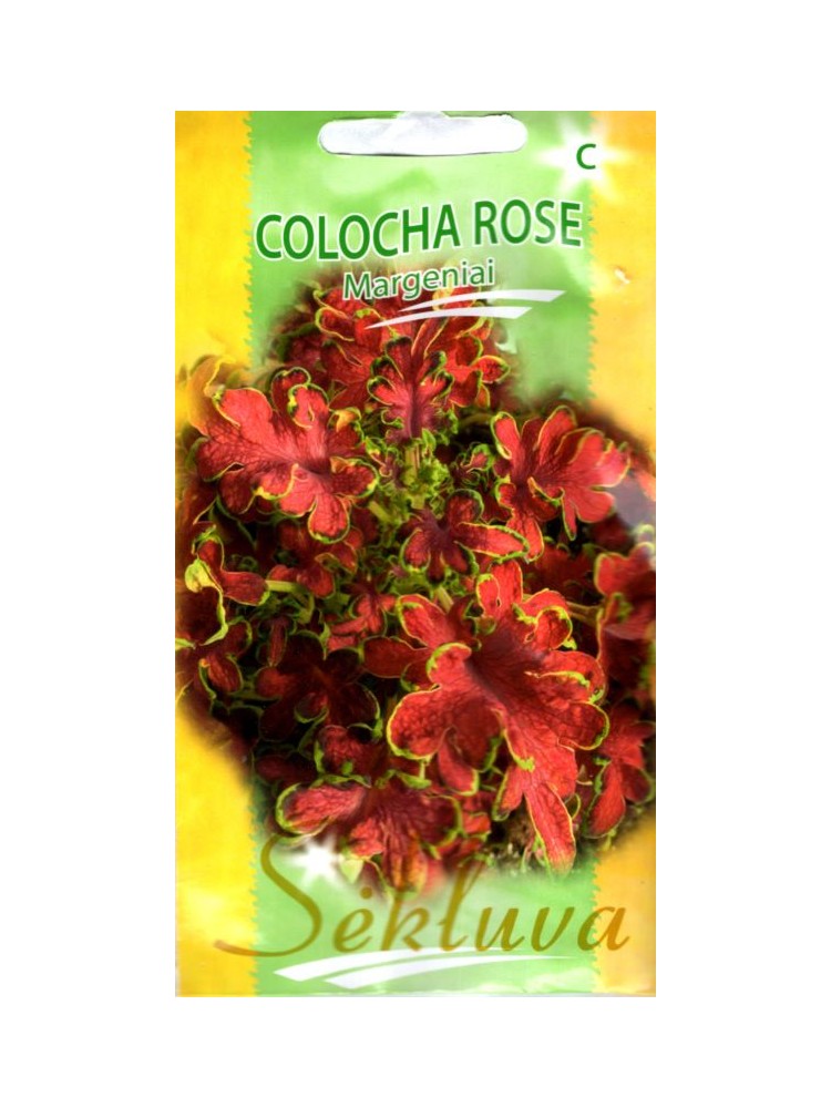 Margeniai darželiniai 'Colocha Rose'