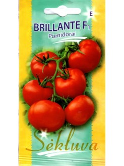 Pomidorai 'Brillante' F1, 10 sėklų