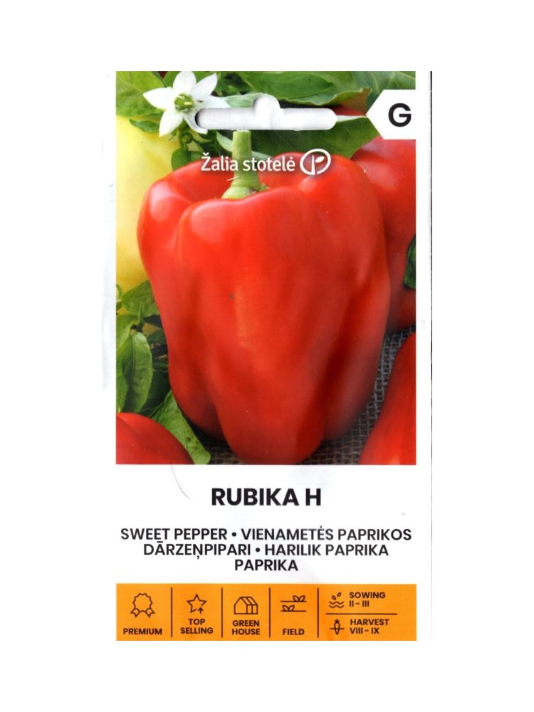 Paprika 'Rubika' H