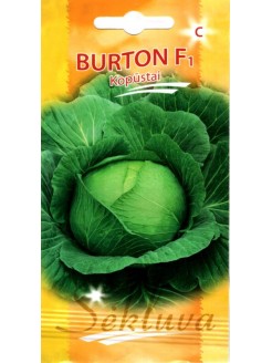 Kopūstai baltagūžiai 'Burton' F1 , 30 sėklų