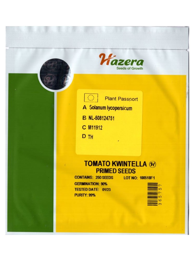 Pomidorai 'Kwintella' H, 250 sėklų
