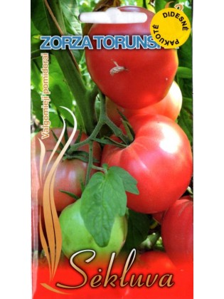 Pomidorai 'Zorza Toruńska' 3 g