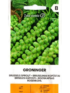 Kopūstai briuseliniai 'Groninger' 1 g