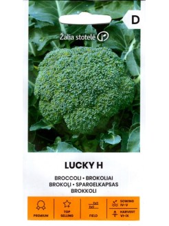 Brokoliai 'Lucky' H