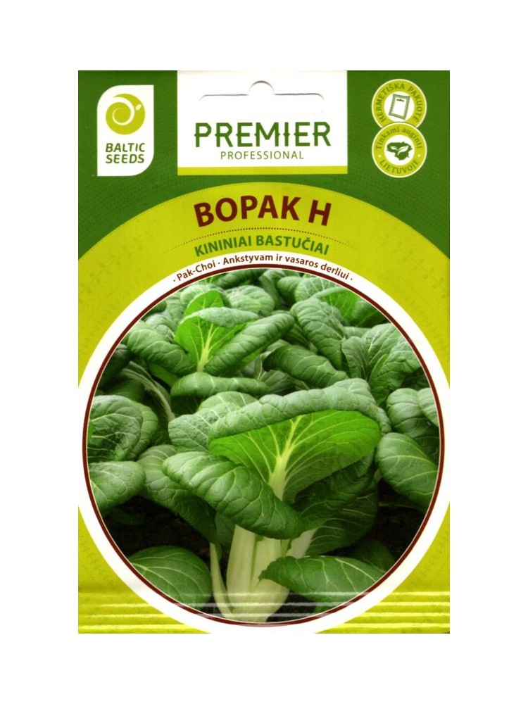 Kopūstai kininiai 'Bopak' 1 g