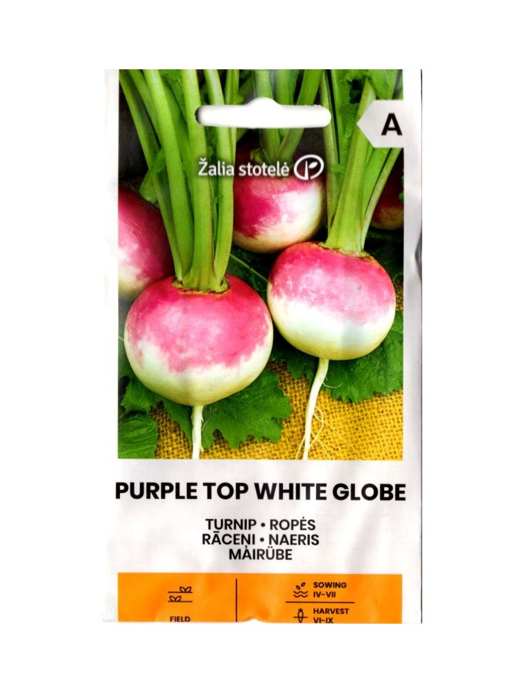 Ropės 'Purple Top White Globe' 3 g