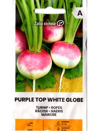 Ropės 'Purple Top White Globe' 3 g