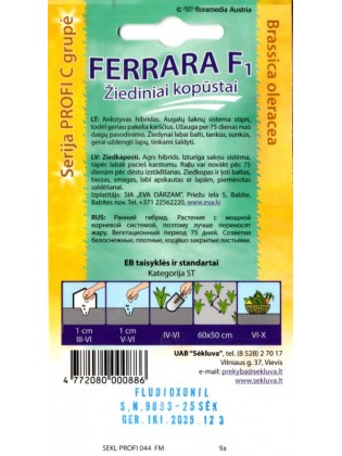 Kopūstai žiediniai 'Ferrara' H, 25 sėklų