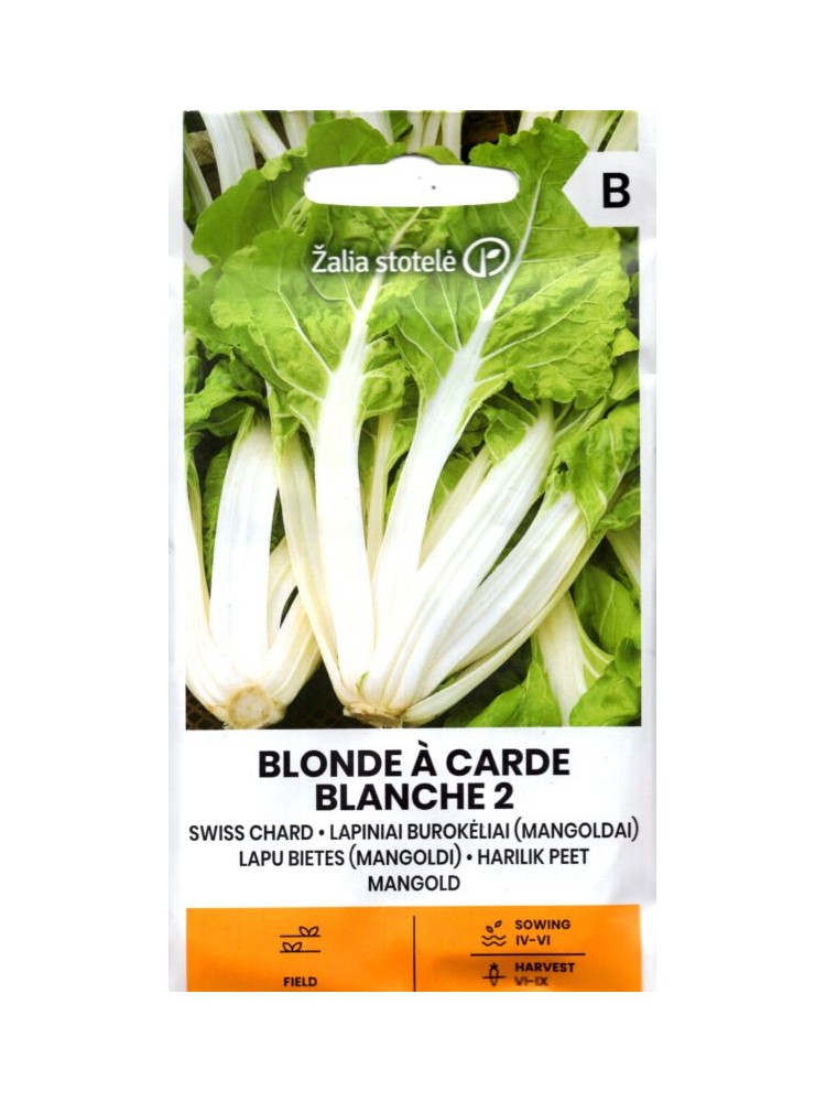 Burokėliai lapiniai 'Blonde A Carde Blanche' 5 g