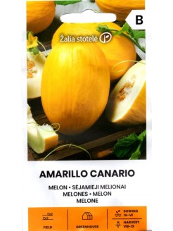 Melionai 'Amarillo Canario' 1 g