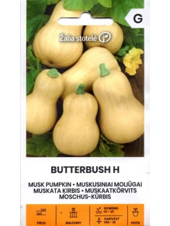 Moliūgai kvapieji 'Butterbush' H, 6 sėklos