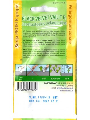 Pelargonijos juostuotosios 'Black Velvet Vailit' H, 5 sėklos