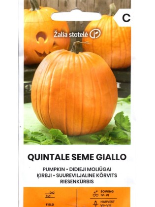 Moliūgai didieji 'Quintale Seme Giallo' 2 g