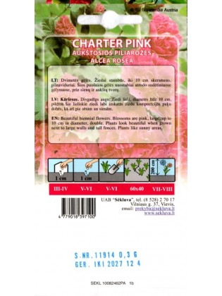 Piliarožės aukštosios 'Charter Pink' 0