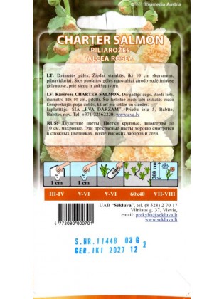 Piliarožės aukštosios 'Charter Salmon' 0,3 g