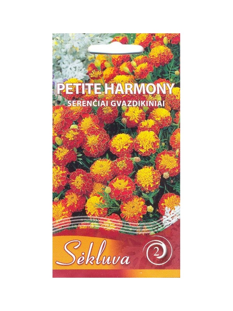 Serenčiai gvazdikiniai 'Petite Harmony' 0,5 g