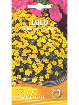Schmalblättrige Studentenblume 'Lulu' 0,2 g