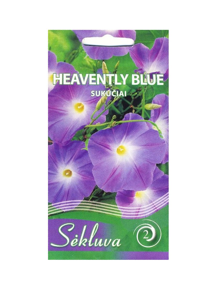 Ipomoea tricolor 'Heavenly Blue' 2 g