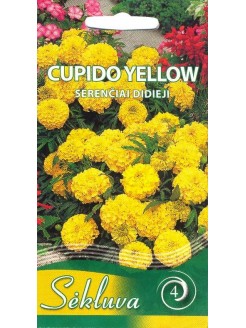 Serentis didysis 'Cupido Yellow' 0,3 g