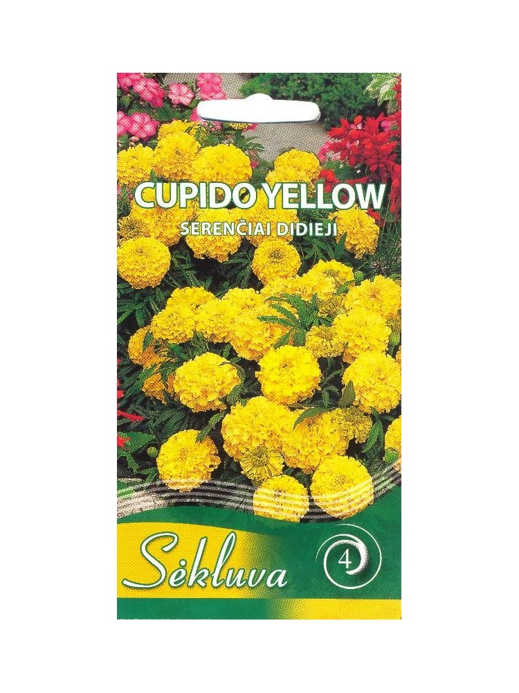 SE Serentis didysis 'Cupido Yellow' 0,3 g