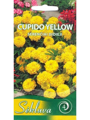 Aksamitka wzniesiona 'Cupido Yellow' 0,3 g