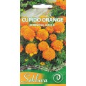 SE Serentis didysis 'Cupido Orange' 0,3 g