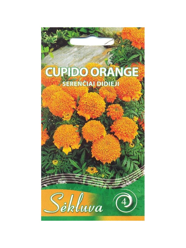 Serentis didysis 'Cupido Orange' 0,3 g