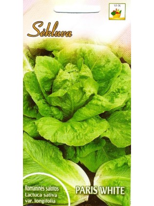 Römischer salat 'Paris White' 1 g
