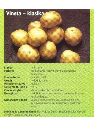 Bulvės sėklinės 'Vineta' 5 kg