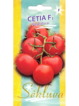 Pomidor 'Cetia' H, 10 nasion