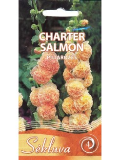 Common Hollyhock 'Charter Salmon' 0,3 g
