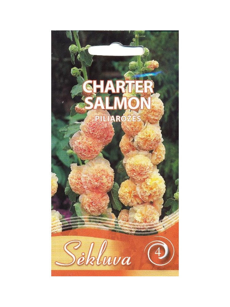 Malwa różowa 'Charter Salmon' 0,3 g