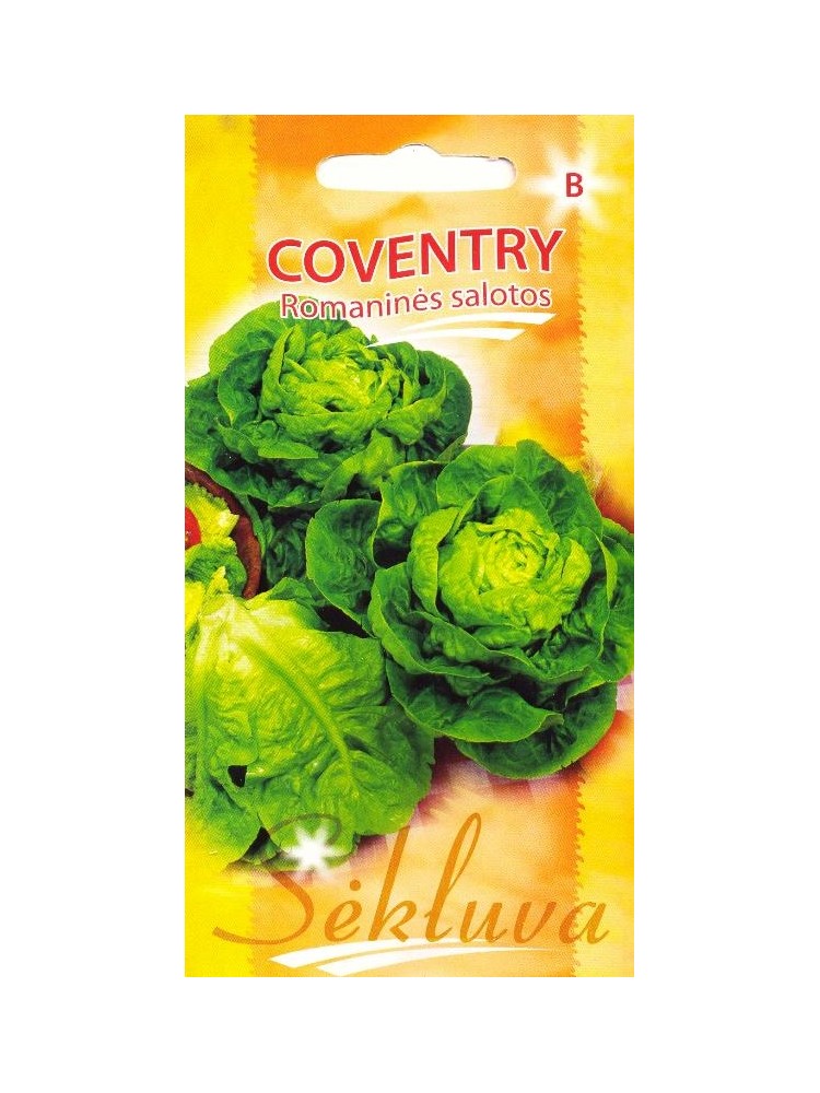 Rooma salat 'Coventry' 25 seemned