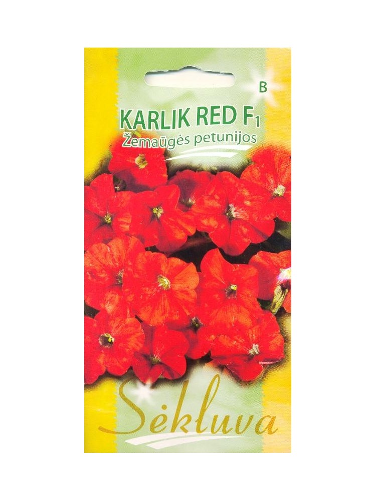 Petunia 'Karlik red' H, 25 semi